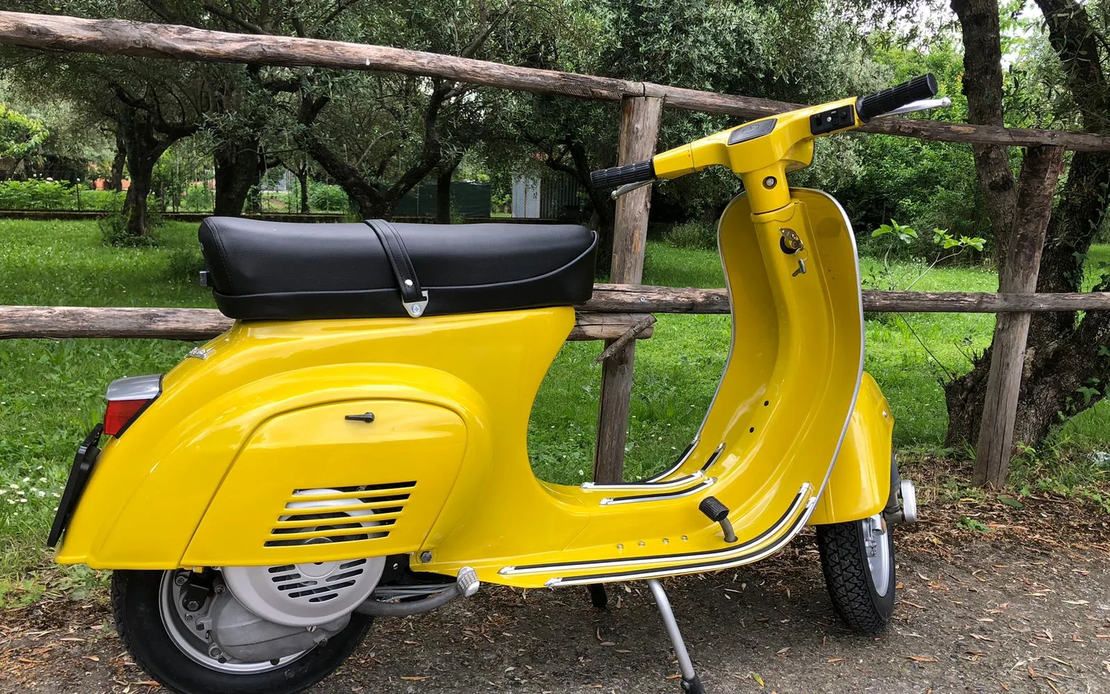 Vespa storica gialla fotografata in un uliveto
